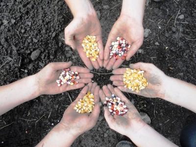 Ruilnetwerk met planten en zaden opgestart