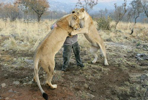 Guardabosques en Sudáfrica